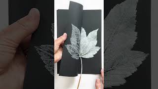 Monoprinting Sycamore leaves on black paper botanicalprint monoprints monoprinting natureprints [upl. by Adriell]