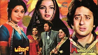 HUM DONO 1980  NADEEM SHABNAM KEMAL SAIQA  OFFICIAL PAKISTANI MOVIE [upl. by Lovash]