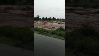 Nowrozabad Umaria Madhya pradesh Datiya Nala [upl. by Manly]