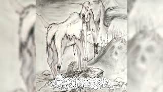 Carcinogen  Kure Demo Tape 1992Full Album  Grindcore  Death Metal [upl. by Jeu630]