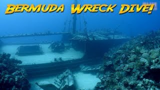 Diving the Hermes Wreck Bermuda The Bermuda Triangle [upl. by Otte412]