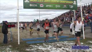 Boys Div I  2012 OHSAA Cross Country State Championships [upl. by Lleunamme]