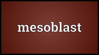 Mesoblast Meaning [upl. by Elicia]