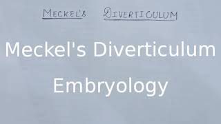 Meckels Diverticulum anatomy  embryology [upl. by Andi]