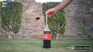 How to make Coke and Mentos Volcano  Coca Cola VS Mentos Experiment Reaction  cokeandmentos [upl. by Naraa]