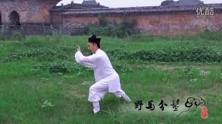 Wudang Tai Chi Quan 28 [upl. by Vedette]