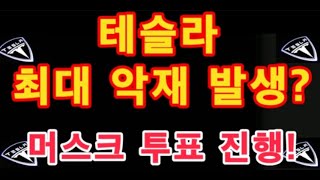 테슬라 최대 악재 발생일론 머스크 투표 진행 24시간  Tesla 주가  테슬라 투자 [upl. by Aneloaup]