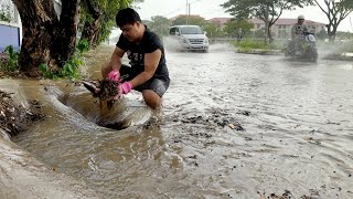 Unclogging Storm Drain Disaster Clearing Blockages to Relieve Flooding [upl. by Guinn]