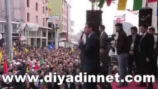 BDP AĞRI MİTİNGİ 2014 [upl. by Elisabet]