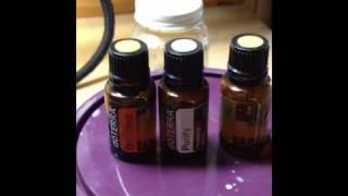 Healing Abscesses in Horses with Essential Oils Part 2 [upl. by Drugi]