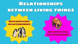 Relationships between living things intraspecific and interspecific relationships [upl. by Roswell]