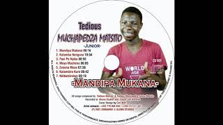 Tedious Muchapedza Matsito Jnr  Zvoona Meso MANDIPA MUKANA ALBUM 2021 [upl. by Aicek788]