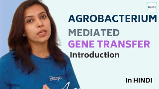 Agrobacterium Mediated Gene Transfer  Part 1  Introduction [upl. by Faydra206]