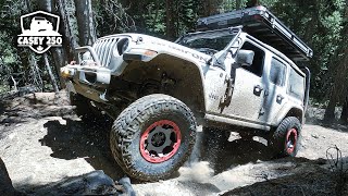 MY ECODIESEL JEEP WRANGLER HAS MAJOR ENGINE PROBLEMS Whipsaw OffRoad Adventure Day 2 [upl. by Yereffej]