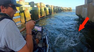 Kayak Bridge Fishing QUALITY Fish Inshore Fishing North Carolina [upl. by Tedmann]