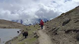 annapurna circuit 2 [upl. by Dorena]