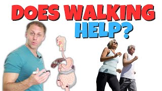 Does Walking Really Relieve Digestive Symptoms [upl. by Noir]