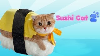 Sushi Cat 2 [upl. by Anaili]