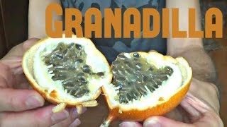 Granadilla Review  Weird Fruit Explorer Ep 34 [upl. by Luigino485]