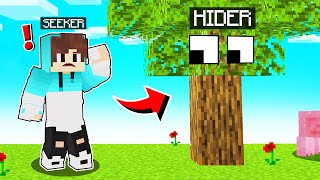 HIDE AND SEEK IN MINECRAFT [upl. by Chloris]