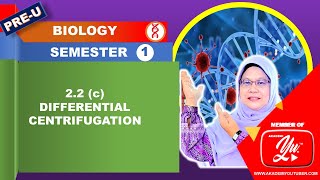 Differential Centrifugation to fractionate cell [upl. by Pettifer]