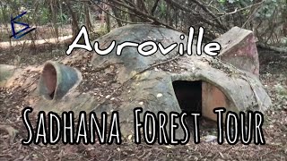 Sadhana Forest Tour  Auroville  Soho Travels [upl. by Relyuc569]