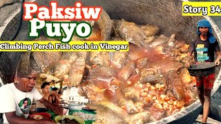 Paksiw na Puyo  Climbing Perch Fish Cook and Simmer in Vinegar  Life in Bukidnon Province [upl. by Petrine]