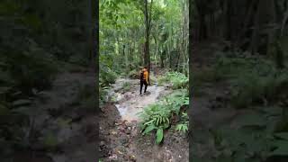 hikingadventures in bukidnon mountains tour philippines travel [upl. by Deehan]