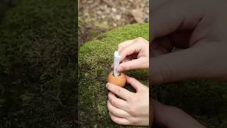 WOW She Сooked an 🥚EGG on EGG survival forest lifehacks bushcraft outdoors camping [upl. by Carbo]