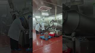 Tilt Vacuum tumber machine Vacuum Meat marinator machine Baiyu [upl. by Rogerg]