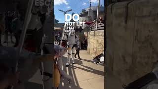 Stormtroopers encounter a tauntaun in Galaxy’s Edge starwars stormtroopers disney disneyworld [upl. by Acenahs]