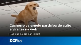 Cachorro caramelo participa de culto e viraliza na web [upl. by Kali]