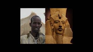 The Hamitic Race in Africa amp Ancient Egypt Carleton S Coon Henri Frankfort CG Seligman etc [upl. by Dulcinea]