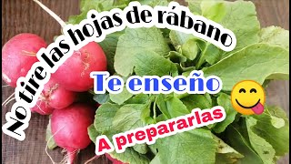 ¿Cómo preparar HOJAS de RÁBANO Beneficios de la hoja de rábano [upl. by Eniarral285]