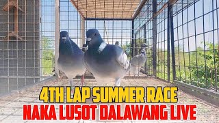 SANTIAGO CITY 4TH LAP SUMMER DERBY RACE NAKALUSOT DALAWANG LIVE [upl. by Koslo]