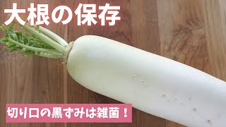 【大根の保存】切り口の黒ずみが雑菌です！（島本美由紀の保存から食品ロス削減） [upl. by Dara]