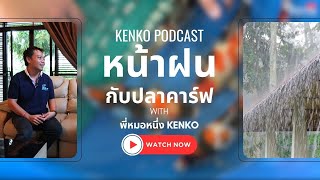 ฝนตกแบบนี้ เลี้ยงปลาคาร์ฟยังไงให้ไม่ป่วย PODCAST WITH KENKO EP3 [upl. by Asen]