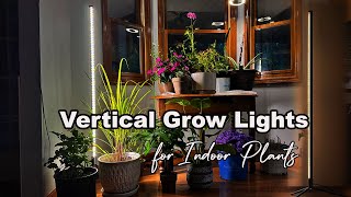 T10 Best Standing Grow Lights For Indoor Plants Barina Full Spectrum [upl. by Lemuela995]