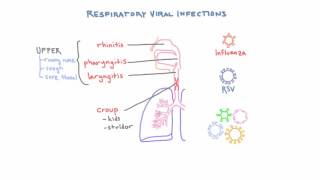 Respiratory Viruses  Clinical Presentations and Diagnosis [upl. by Naerol587]