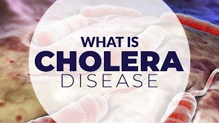 WHAT IS CHOLERA DISEASE [upl. by Pengelly]