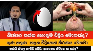 බිත්තර කන්න හොඳම විදිය මොකද්ද  What is the Best Way to Eat Eggs By Nutritionist Hiroshan Jayaranga [upl. by Jaclyn]