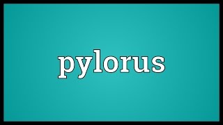 Pylorus Meaning [upl. by Yleme]