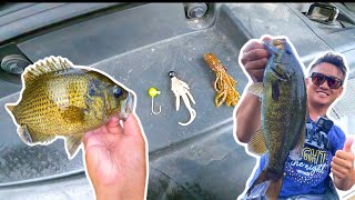 Rock bass and Smallmouth Fishing Three Must Have Lures [upl. by Dibbell932]