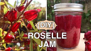 How To Make Easiest Rosella Jam Jamaican Sorrel  Plant Update [upl. by Nylahs]