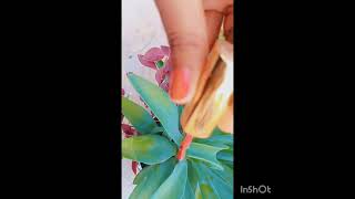 Agave plant care tips tharmacol balls and nail paint [upl. by Annamaria]