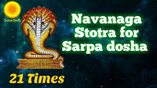 Navanaga Stotra for Sarpa dosha Nagadosha kalasarpa dosha nivarana mantraAnantham Vasukim 21 times [upl. by Analle]