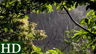 Lluvia HD  Sonido de Lluvia y Sonidos de la Naturaleza  Dormir [upl. by Yrmac]