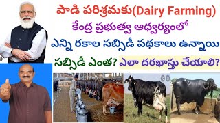 How many Central Government Subsidy Loans available for Dairy Farming Telugu  Dr Madankumar Vet [upl. by Lilyan196]