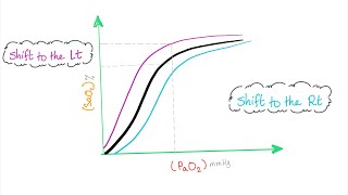 Oxygen Hemoglobin Dissociation Curve with a mnemonic [upl. by Latsirhc]