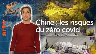 Xi Jinping et le covid  la Chine à lépreuve  Le Dessous des cartes – L’Essentiel  ARTE [upl. by Odelle]